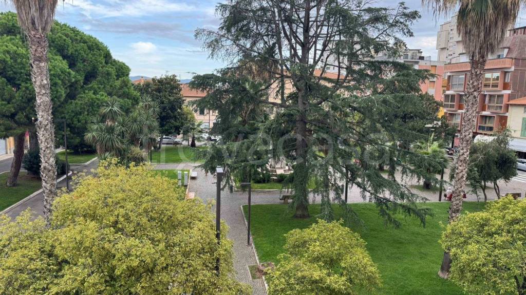 immagine annuncio 10 di 14