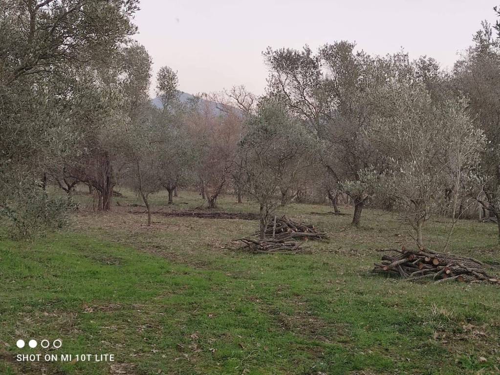 immagine annuncio 3 di 13