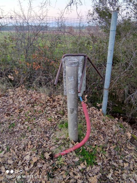 immagine annuncio 7 di 13