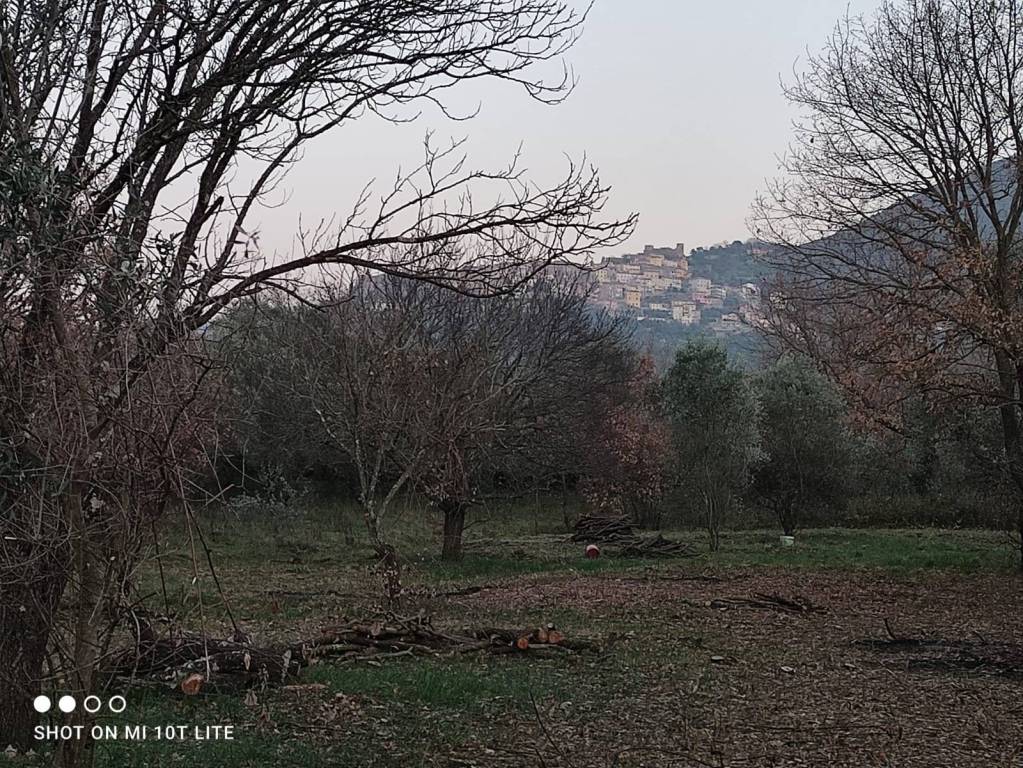 immagine annuncio 8 di 13