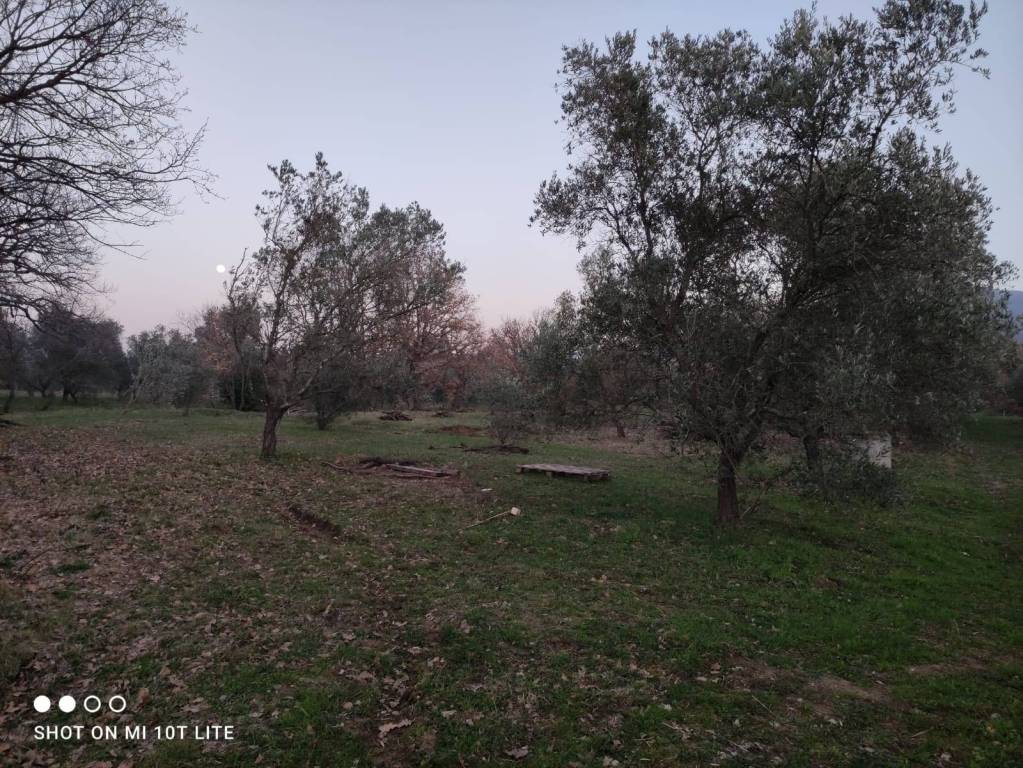 immagine annuncio 10 di 13