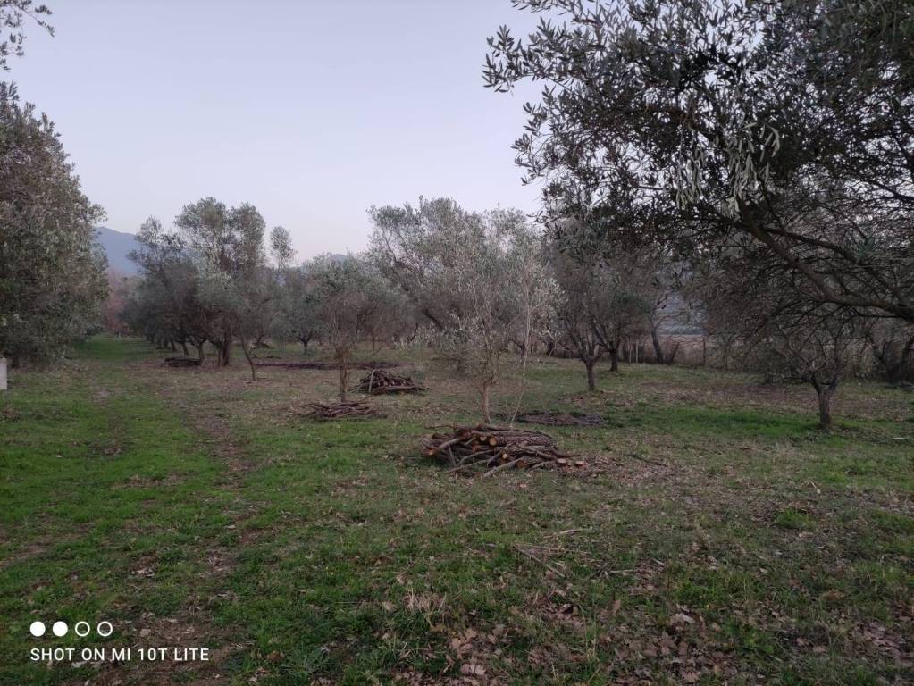 immagine annuncio 11 di 13