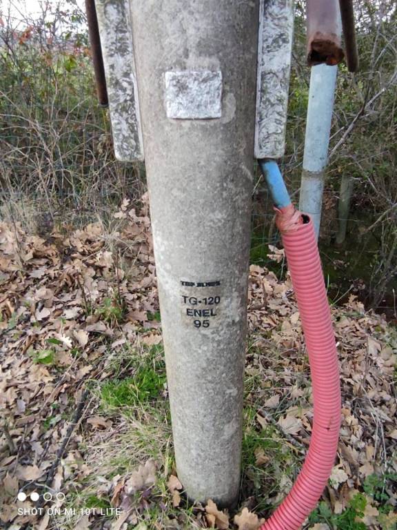 immagine annuncio 12 di 13