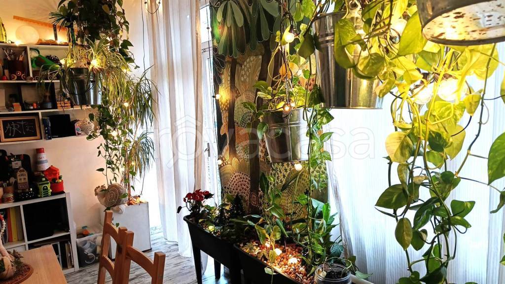 immagine annuncio 4 di 13