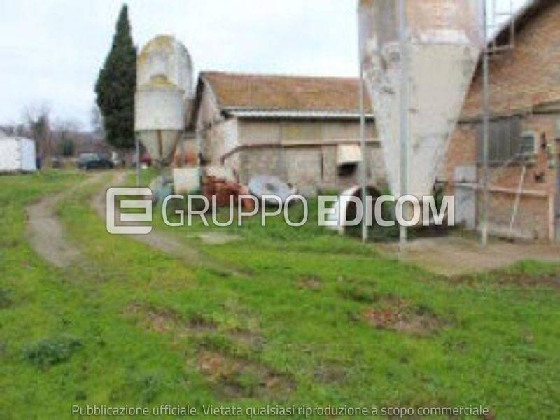 immagine annuncio 1 di 6