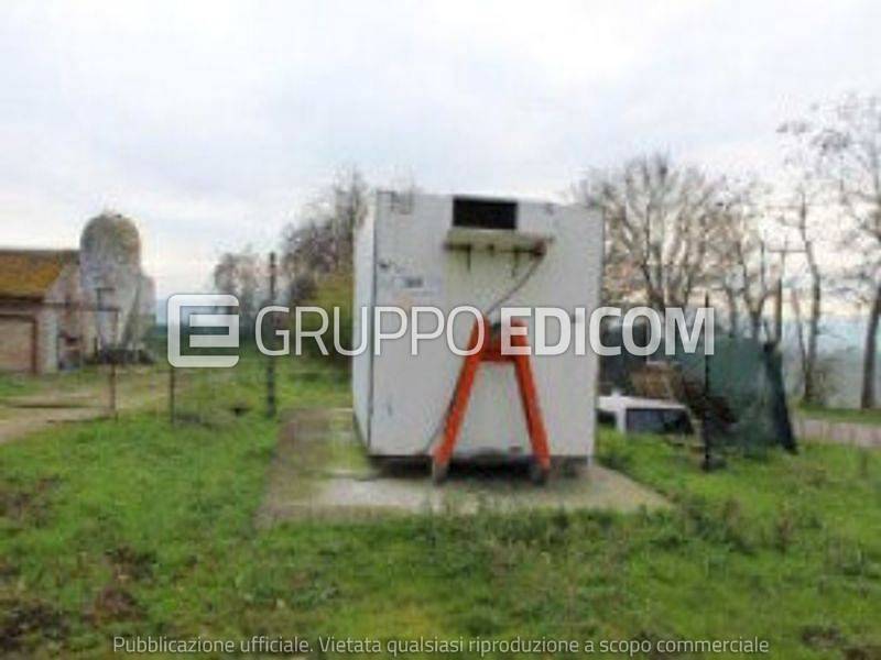 immagine annuncio 2 di 6