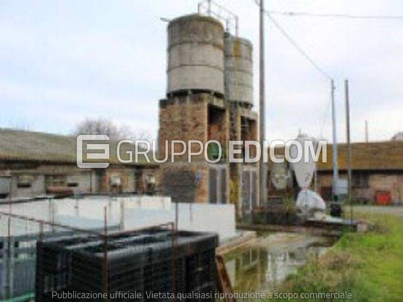 immagine annuncio 3 di 6