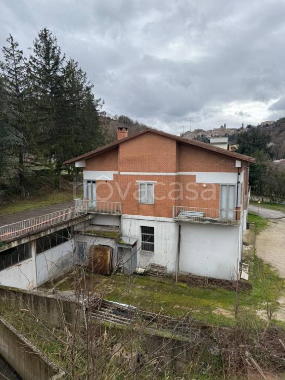 immagine annuncio 1 di 3