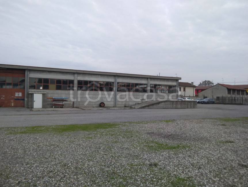 immagine annuncio 1 di 8