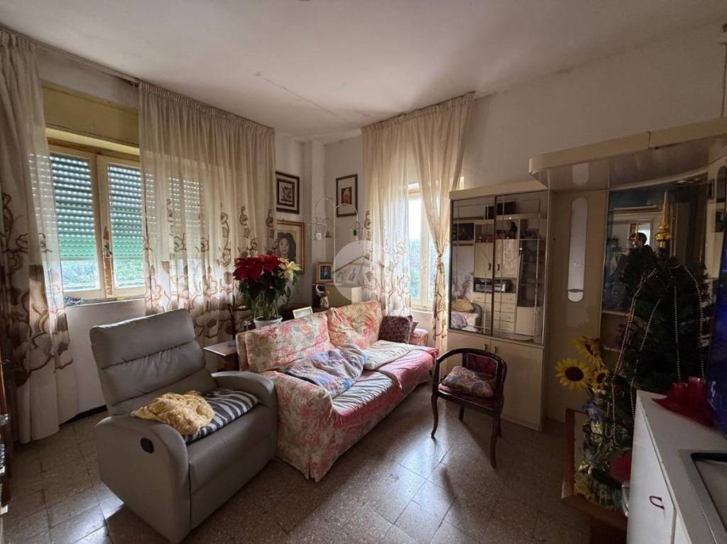 immagine annuncio 1 di 7