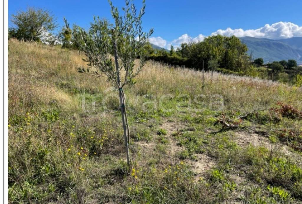 immagine annuncio 3 di 11