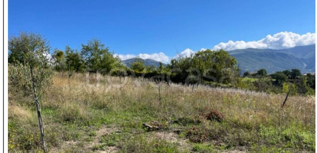 immagine annuncio 6 di 11