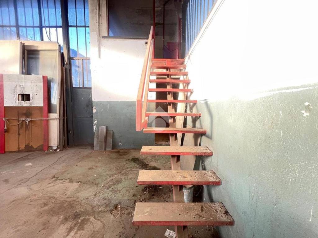 immagine annuncio 5 di 11