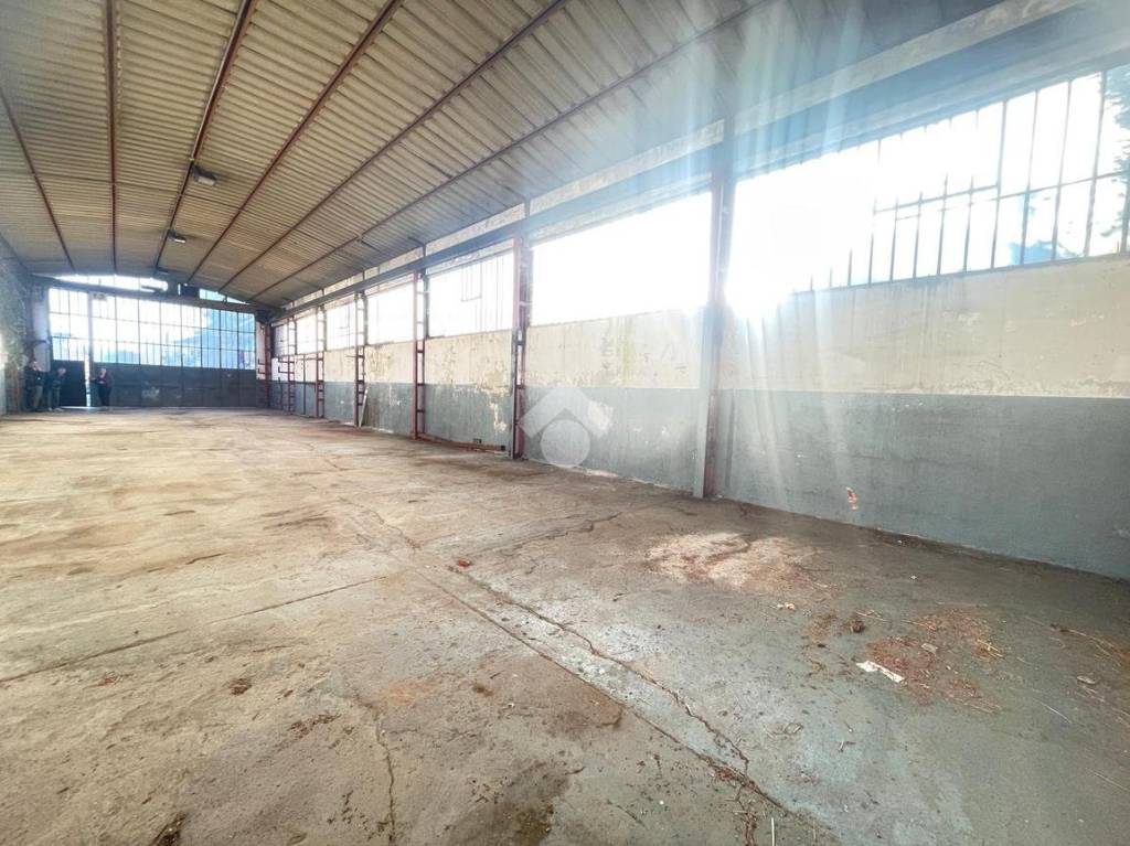 immagine annuncio 6 di 11