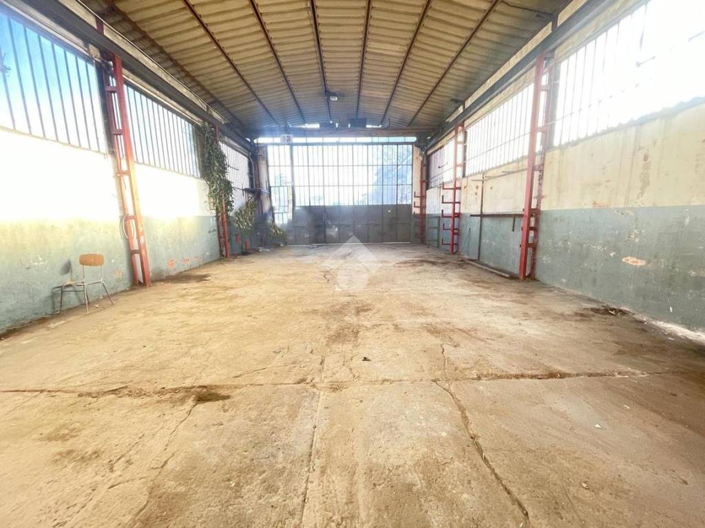 immagine annuncio 8 di 11