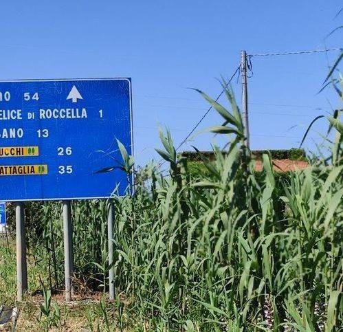 immagine annuncio 3 di 9