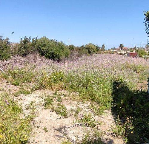 immagine annuncio 6 di 9