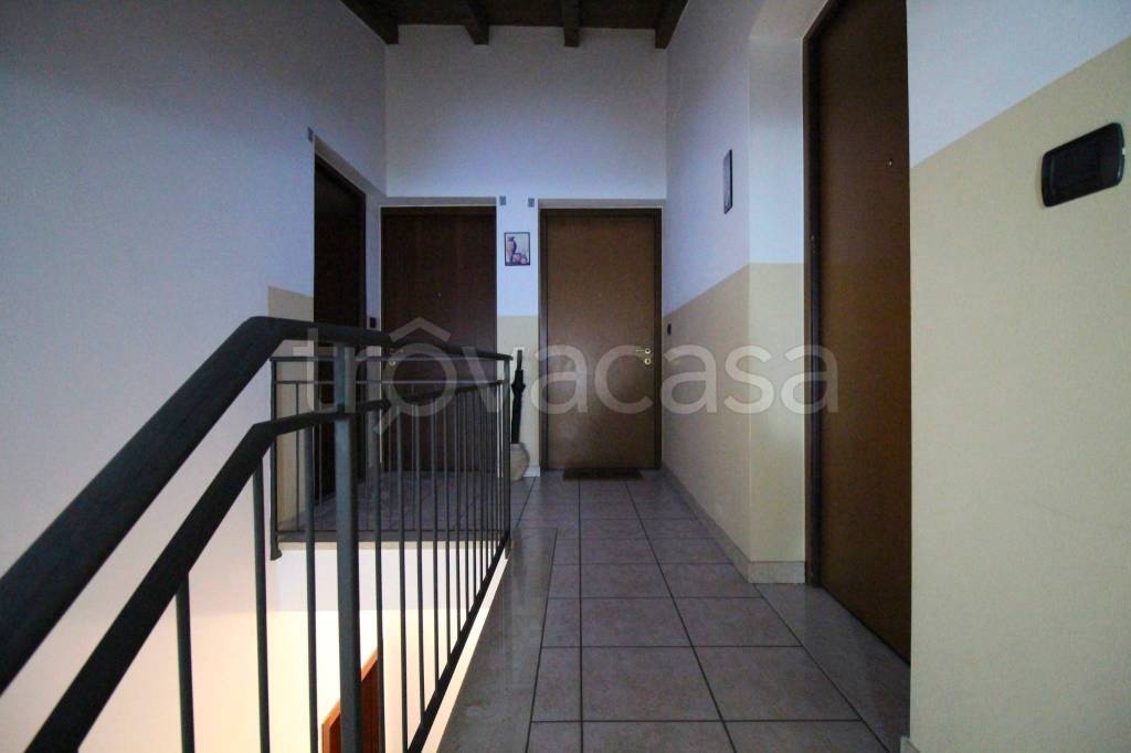 immagine annuncio 5 di 14