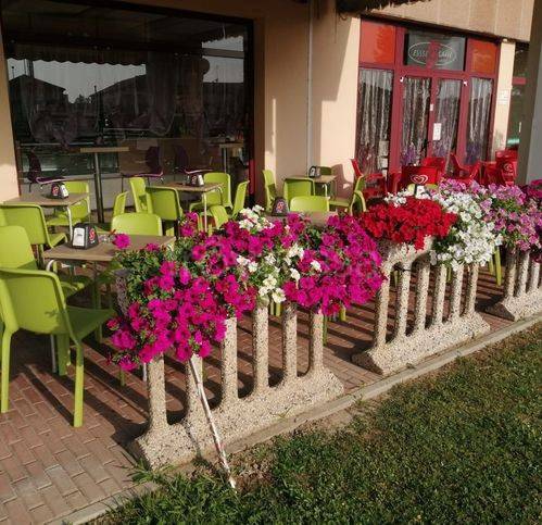 immagine annuncio 2 di 8