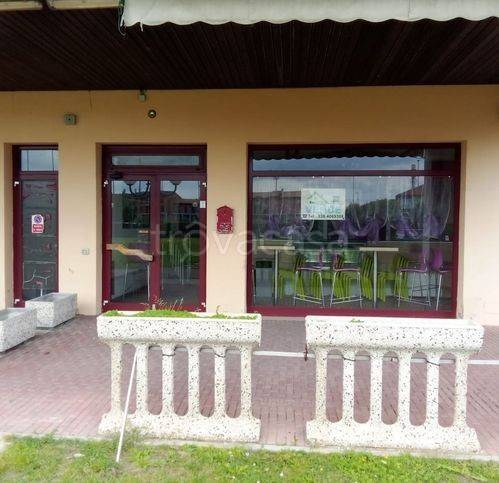 immagine annuncio 5 di 8