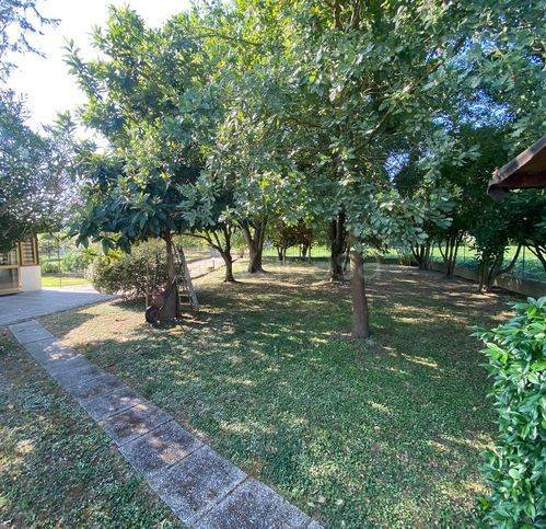 immagine annuncio 2 di 7