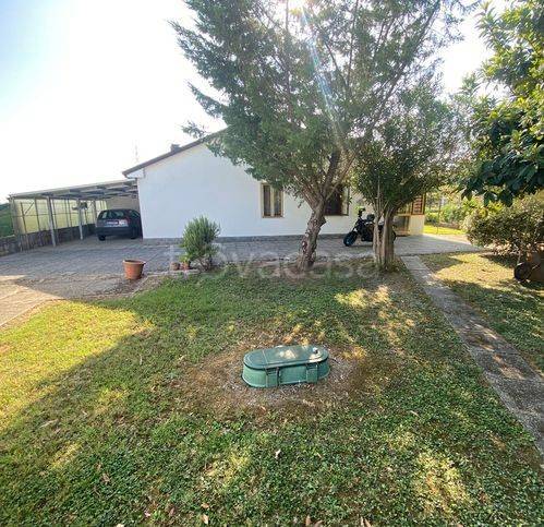 immagine annuncio 4 di 7