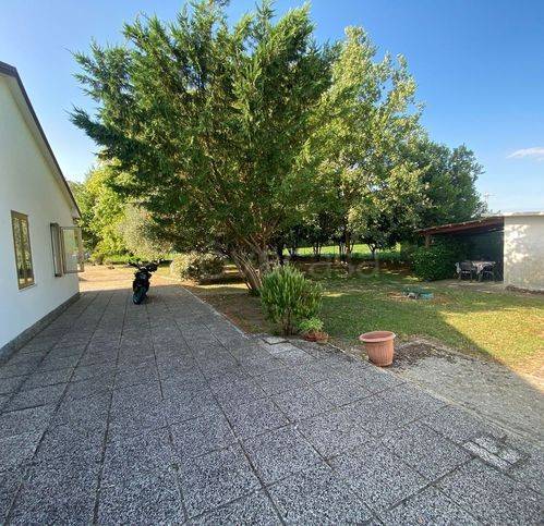 immagine annuncio 6 di 7