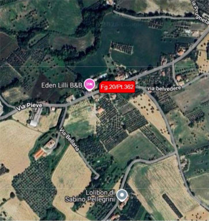 immagine annuncio 10 di 15