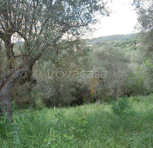 immagine annuncio 2 di 6