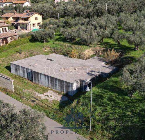 immagine annuncio 7 di 14