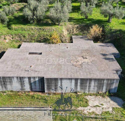 immagine annuncio 9 di 14