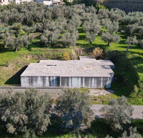 immagine annuncio 10 di 14