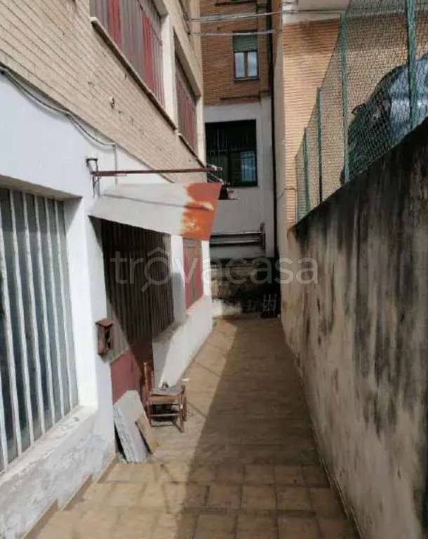 immagine annuncio 2 di 12