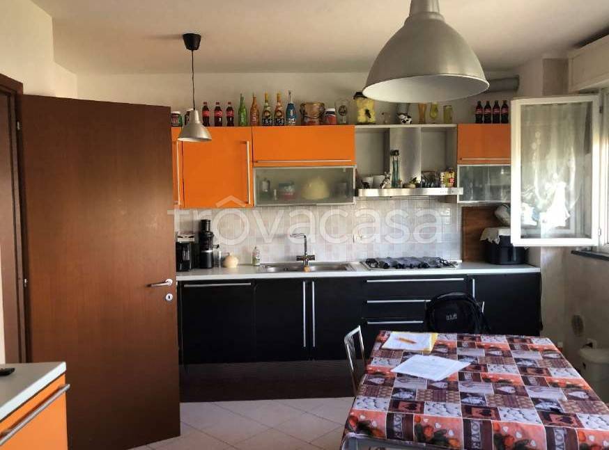 immagine annuncio 9 di 15