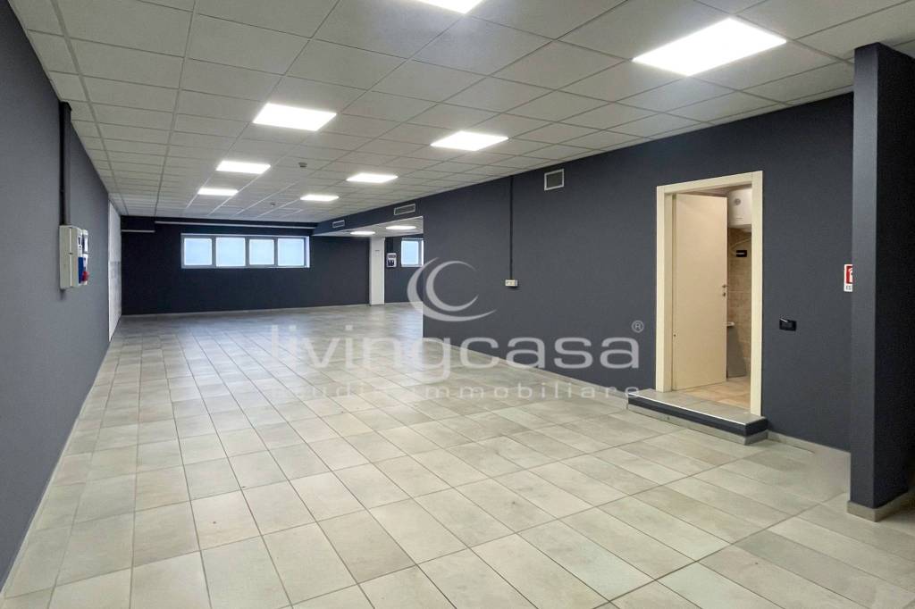 immagine annuncio 9 di 14