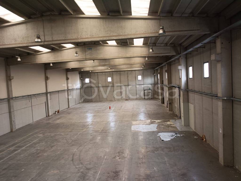 immagine annuncio 2 di 8