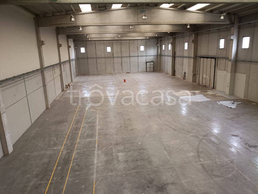 immagine annuncio 3 di 8