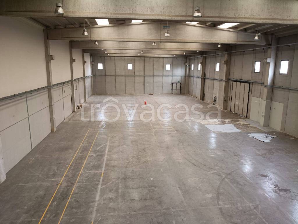 immagine annuncio 6 di 8