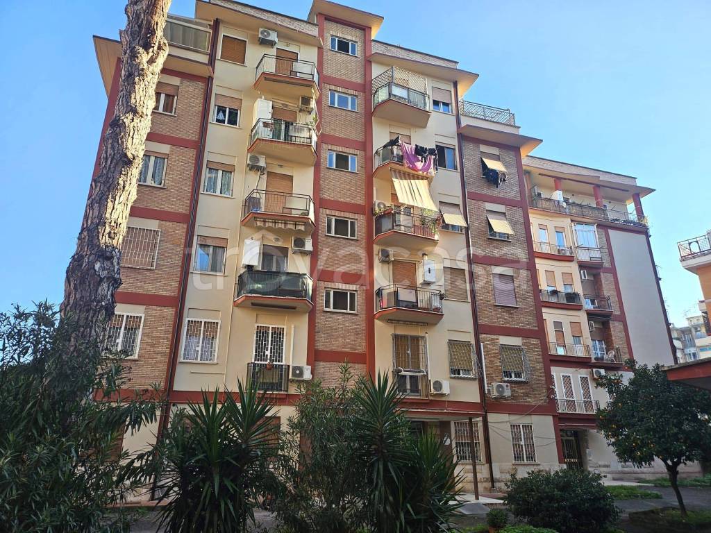 immagine annuncio 11 di 13