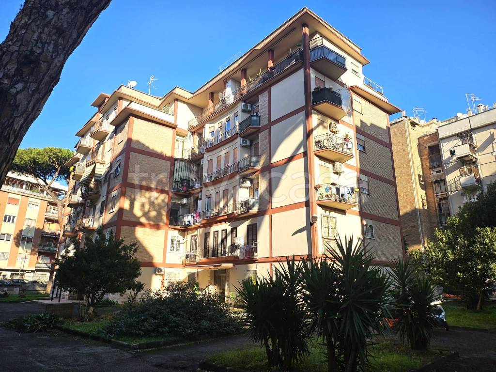 immagine annuncio 12 di 13