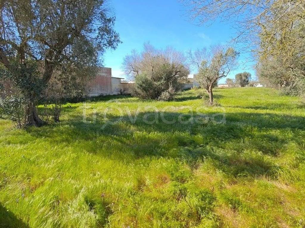 immagine annuncio 2 di 4