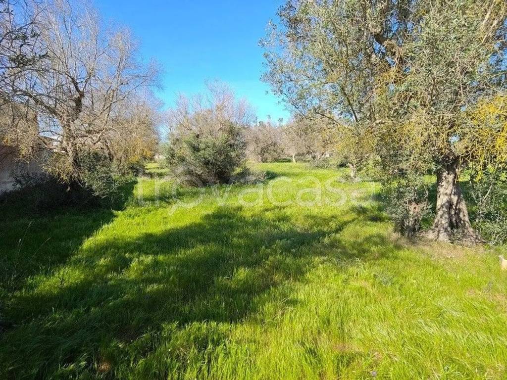 immagine annuncio 3 di 4