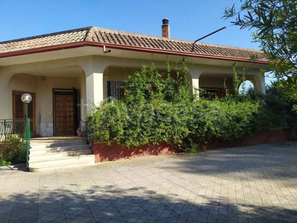 immagine annuncio 7 di 14