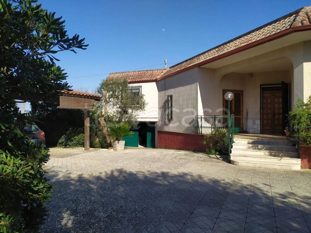 immagine annuncio 8 di 14