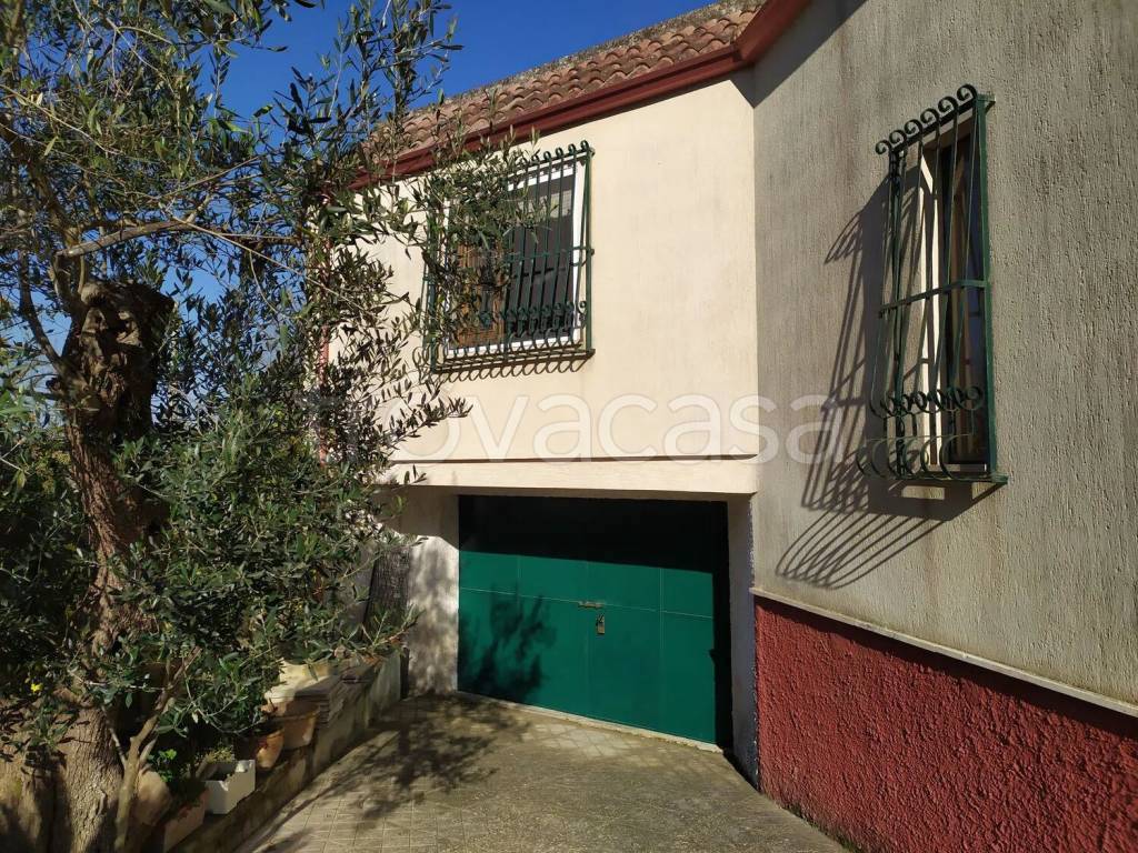 immagine annuncio 12 di 14