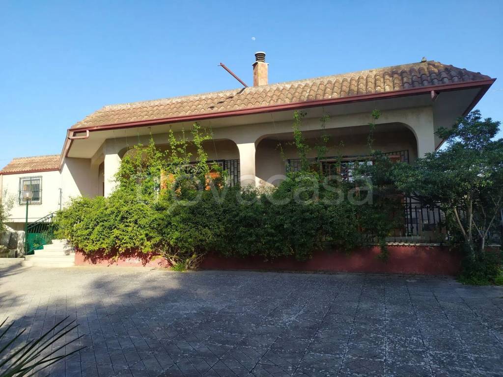 immagine annuncio 13 di 14