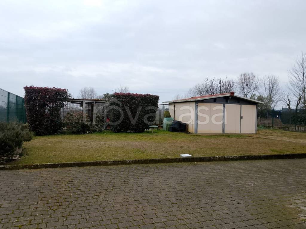 immagine annuncio 2 di 15