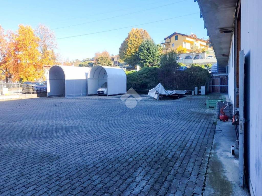 immagine annuncio 11 di 15