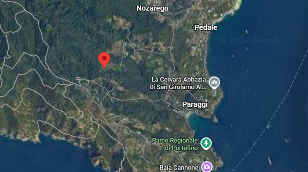 immagine annuncio 3 di 11