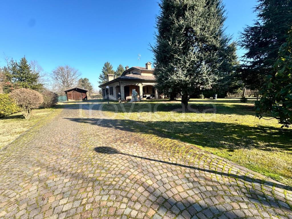 immagine annuncio 5 di 15